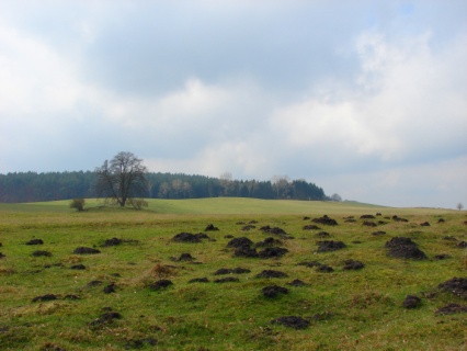 Ostersonntag in der Mecklenburger Seenplatte