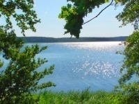 Im Naturschutzgebiet Krakower Obersee